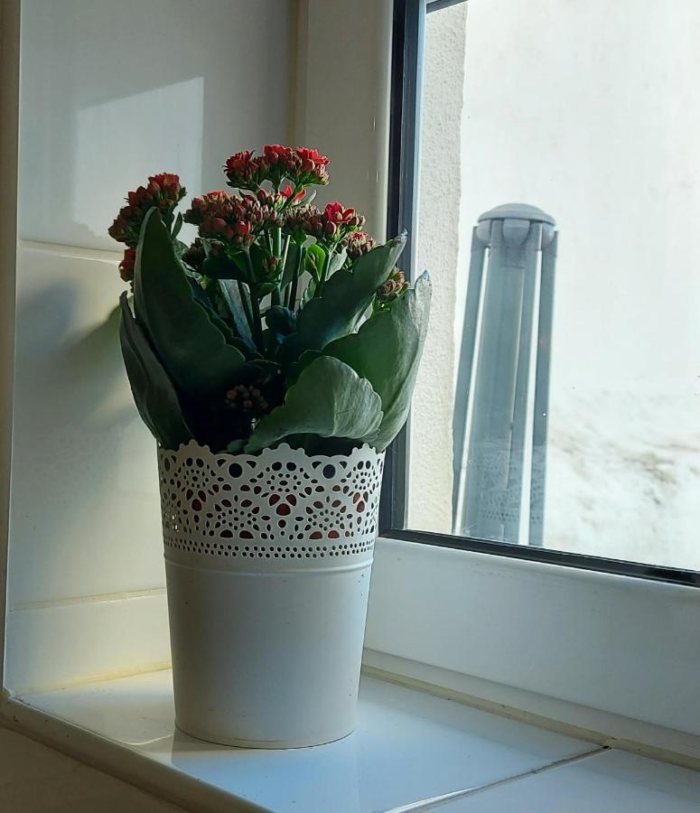 Apartment In *