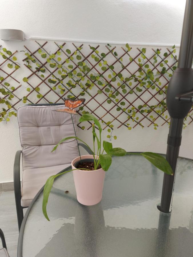 Apartment In